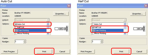 Print dialog box